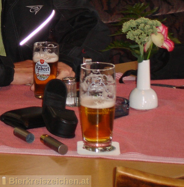 Foto eines Bieres der Marke Haberl Bru Hell aus der Brauerei Brauerei Hans Haberl 