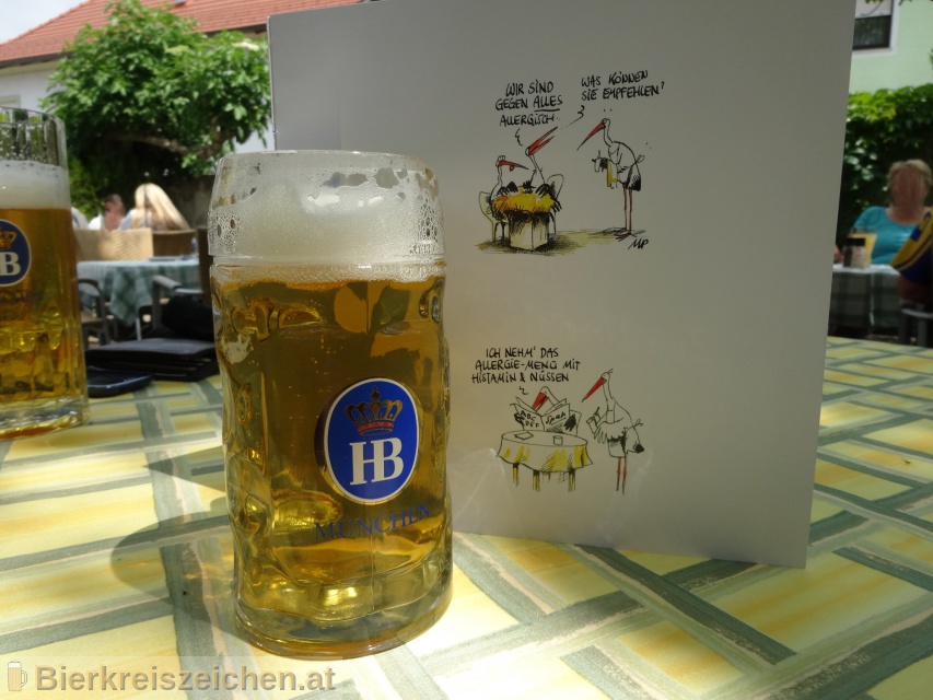 Foto eines Bieres der Marke Hofbru Original aus der Brauerei Staatliches Hofbruhaus