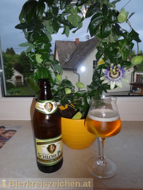 Foto eines Bieres der Marke Schloss-Pils aus der Brauerei Schlobrauerei Haimhausen