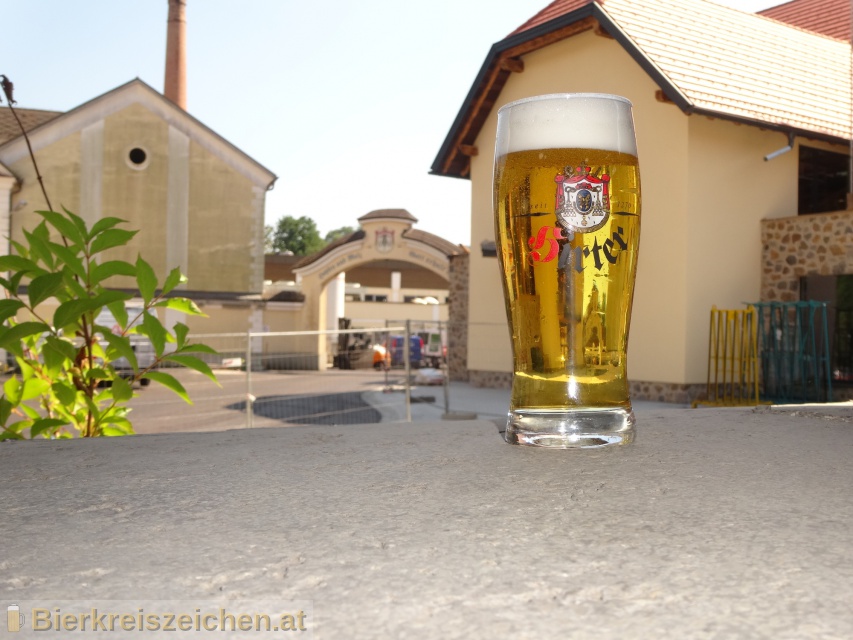 Foto eines Bieres der Marke Hirter Märzen aus der Brauerei Brauerei Hirt