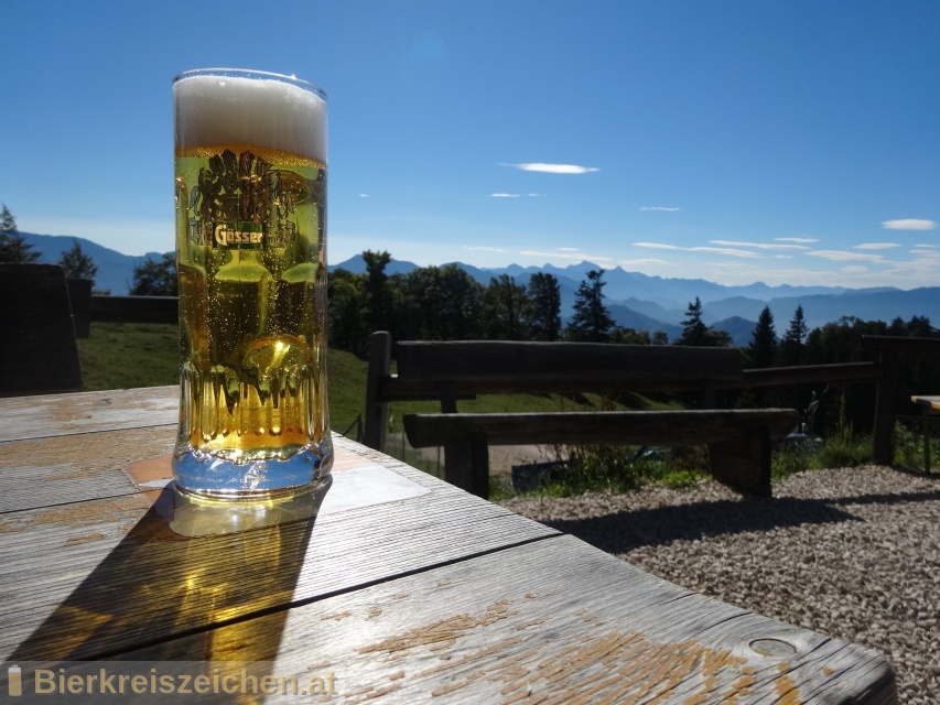 Foto eines Bieres der Marke Gsser Mrzen aus der Brauerei Brauerei Gss