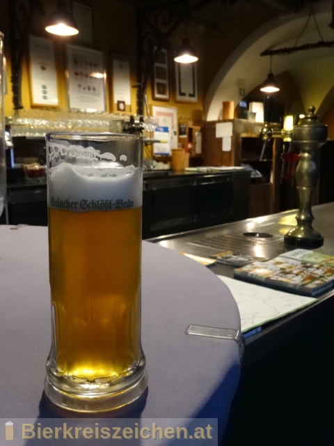 Foto eines Bieres der Marke Sajacher Schlsslbru aus der Brauerei Privatbraurei Wratschko - Neuhold