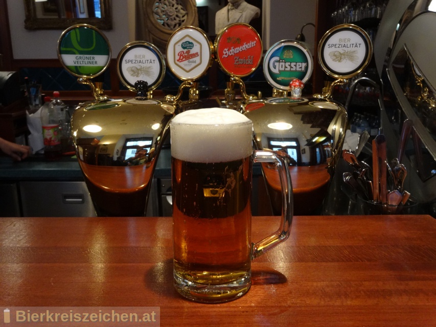 Foto eines Bieres der Marke Starobrno Alt Brnner Gold aus der Brauerei Pivovar Starobrno