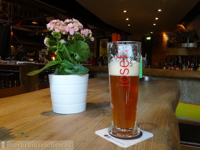 Foto eines Bieres der Marke Josef naturtrb Gold-braun aus der Brauerei Stadtbru Josef