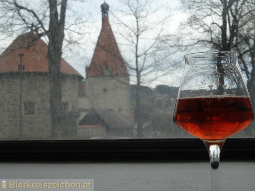 Foto eines Bieres der Marke Freistdter Rotschopf aus der Brauerei Braucommune in Freistadt