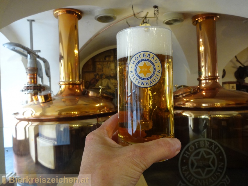 Foto eines Bieres der Marke Kaltenhauser Bernstein aus der Brauerei Hofbru Kaltenhausen