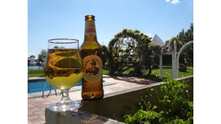 Bild von Birra Moretti Premium Lager