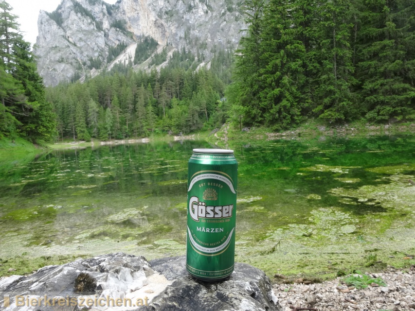 Foto eines Bieres der Marke Gsser Mrzen aus der Brauerei Brauerei Gss