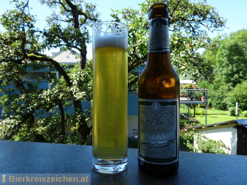 Foto eines Bieres der Marke Neufeldner - Pils naturtrb aus der Brauerei Neufeldner BioBrauerei