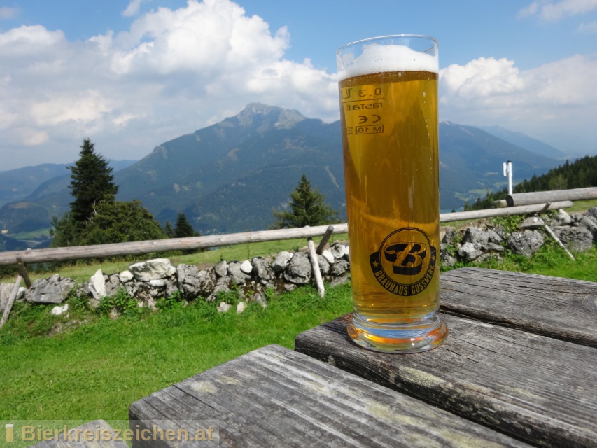 Foto eines Bieres der Marke Salzburger Hofbru aus der Brauerei Brauerei Gusswerk
