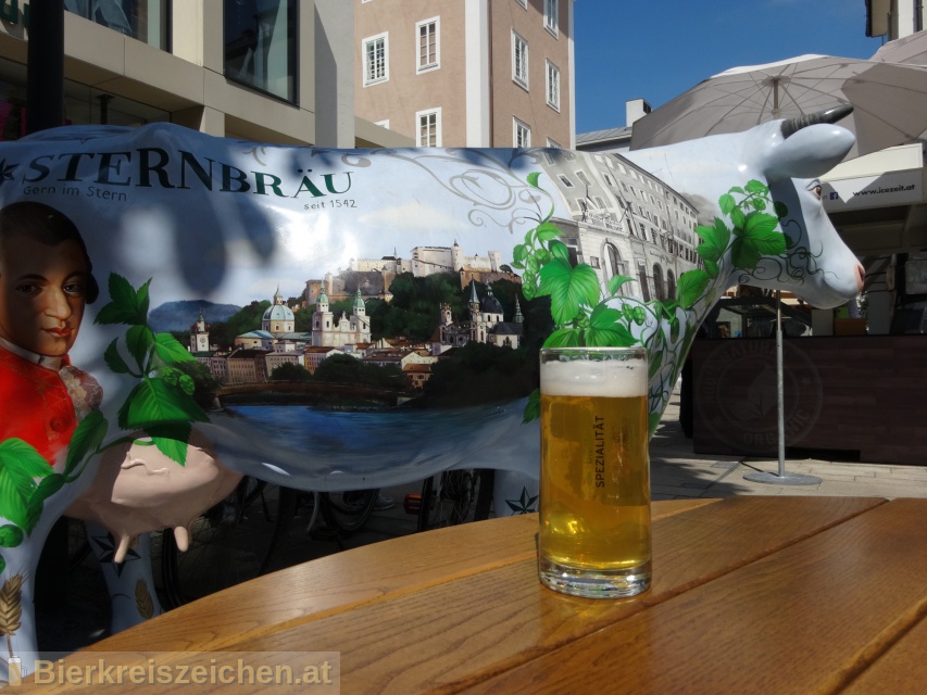 Foto eines Bieres der Marke Sternbier aus der Brauerei Hofbräu Kaltenhausen