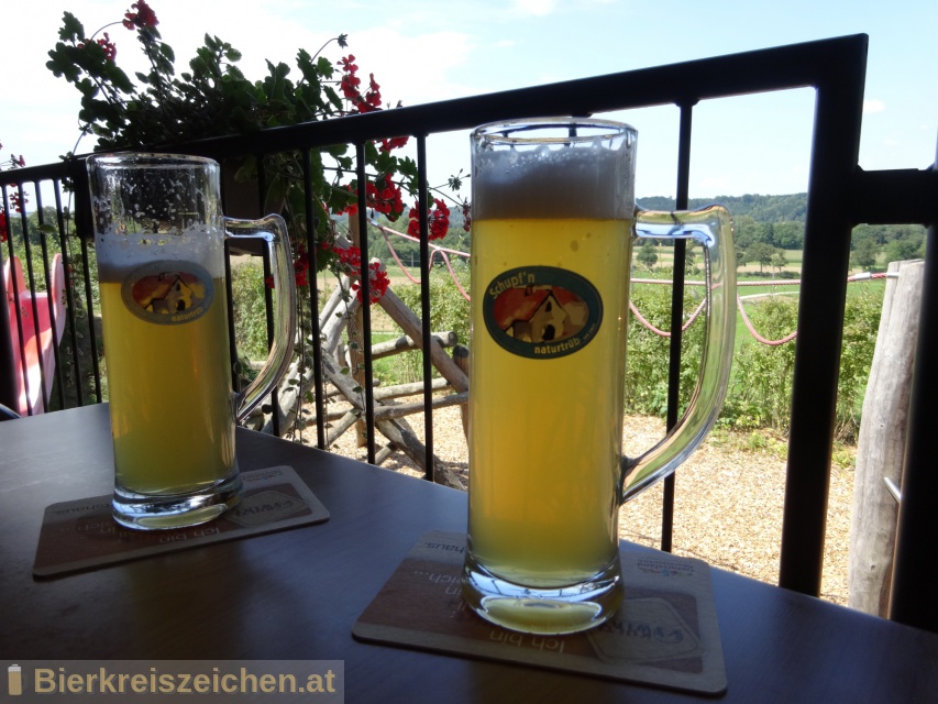Foto eines Bieres der Marke Schupf'n Natur aus der Brauerei Brauerei Zipf