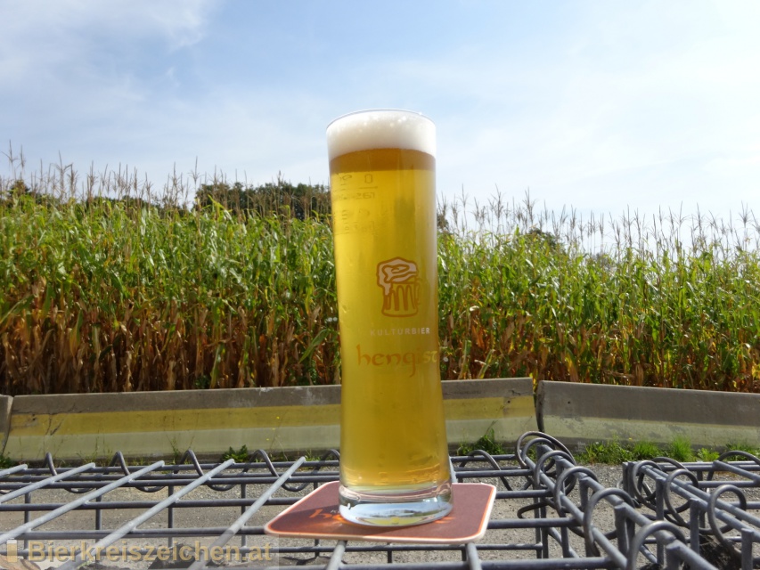 Foto eines Bieres der Marke Das Blonde Hengist aus der Brauerei Kulturbier Hengist