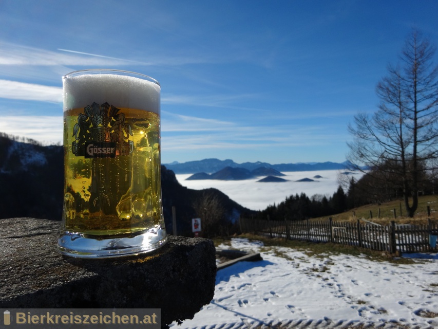 Foto eines Bieres der Marke Gsser Mrzen aus der Brauerei Brauerei Gss