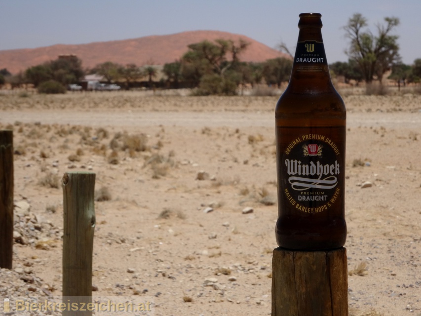 Foto eines Bieres der Marke Windhoeck Premium Draught aus der Brauerei Namibia Breweries