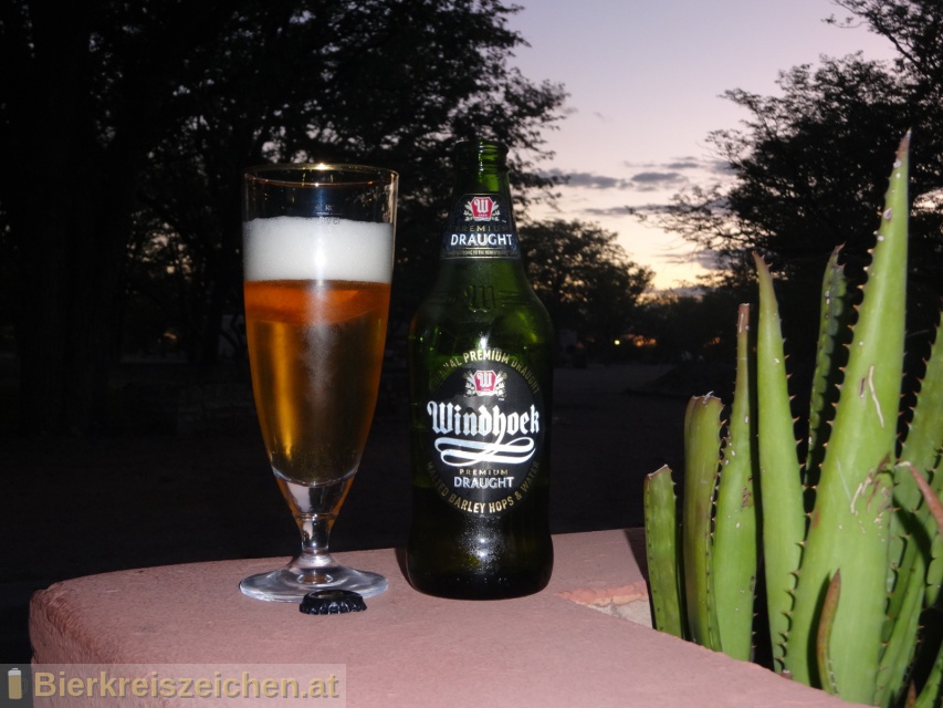 Foto eines Bieres der Marke Windhoek Premium Draught aus der Brauerei Namibia Breweries