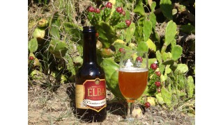 Bild von Cento all ora (Summer IPA)