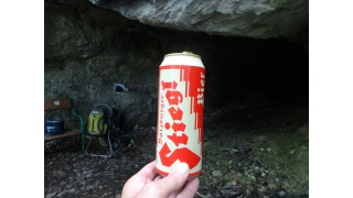 Stiegl Goldbru