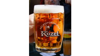 Bild von Velkopopovick Kozel Pale (hell)