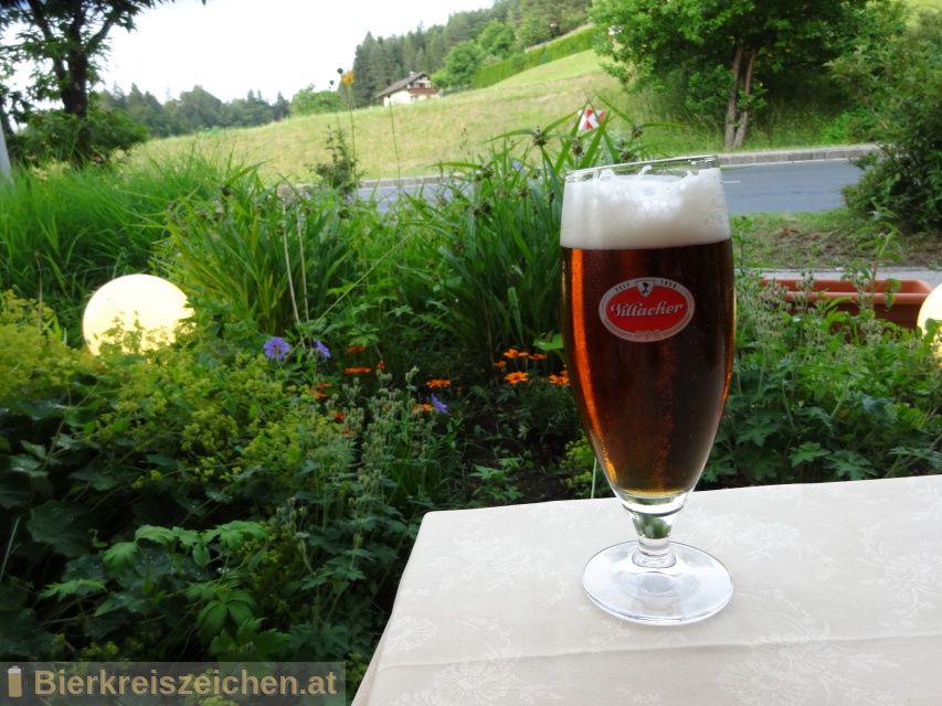 Foto eines Bieres der Marke Hausbier aus der Brauerei Villacher Brauerei