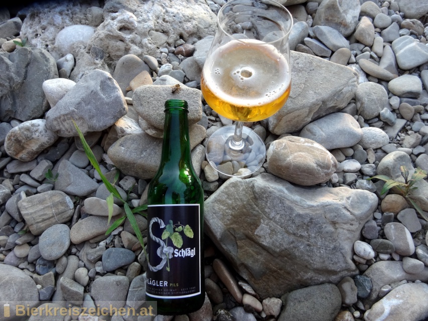 Foto eines Bieres der Marke Schlgler Pils aus der Brauerei Stiftsbrauerei Schlgl