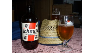 Bild von Birra Ichnusa Non Filtrata