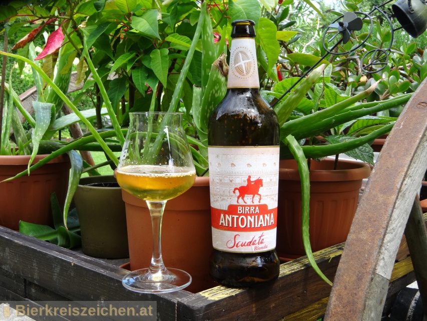 Foto eines Bieres der Marke Birra Antoniana Scudata aus der Brauerei Birrificio Antoniano