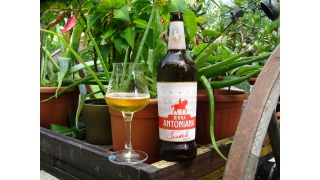 Birra Antoniana Scudata