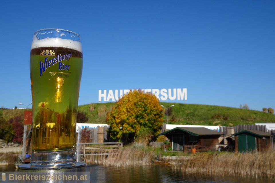 Foto eines Bieres der Marke Wieselburger Gold aus der Brauerei Brauerei Wieselburg