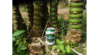 Bild von Bia Saigon Lager