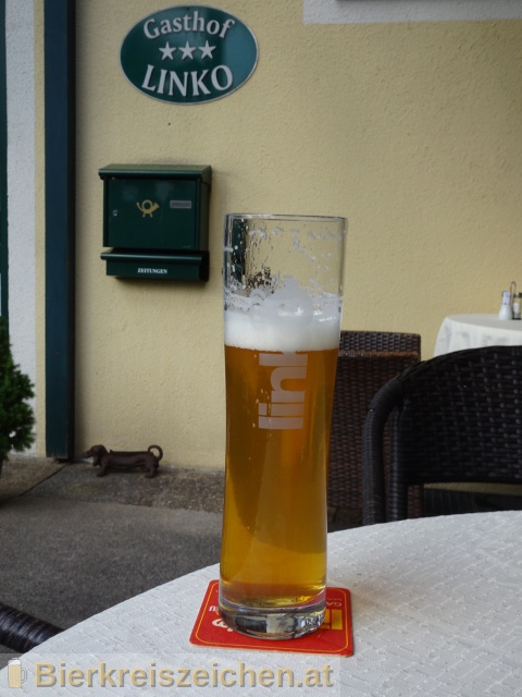 Foto eines Bieres der Marke Linko Pilsner aus der Brauerei Gasthof  & Brauerei Linko