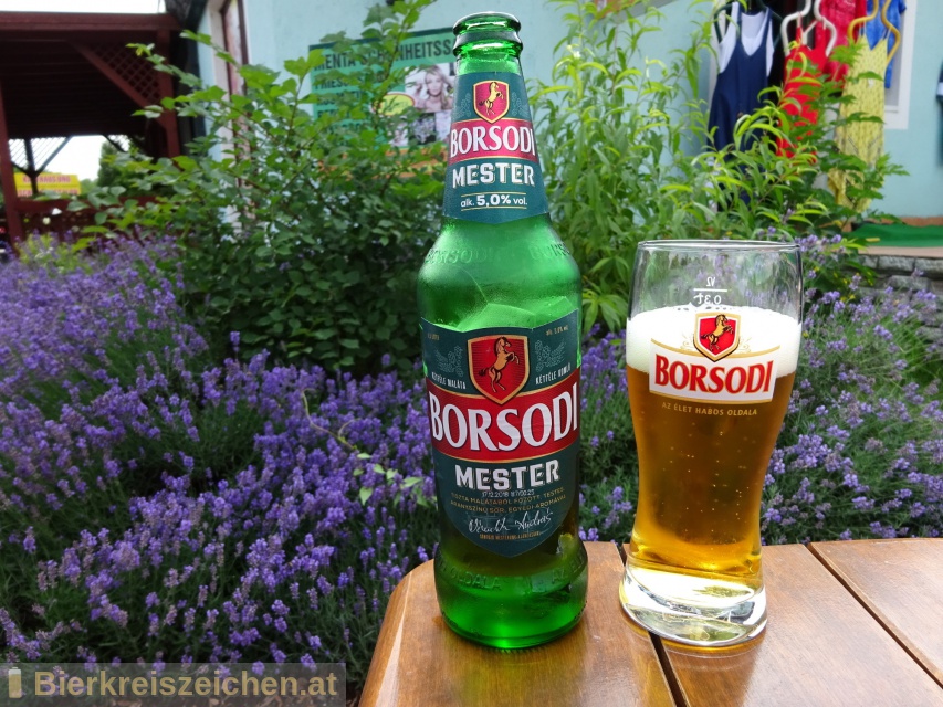 Foto eines Bieres der Marke Borsodi Mester aus der Brauerei Borsodi Srgyr Rt.