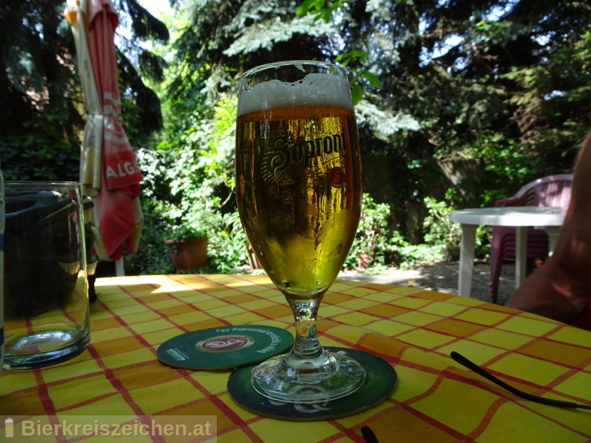Foto eines Bieres der Marke Soproni aus der Brauerei Heineken Hungária Sörgyárak Zrt.