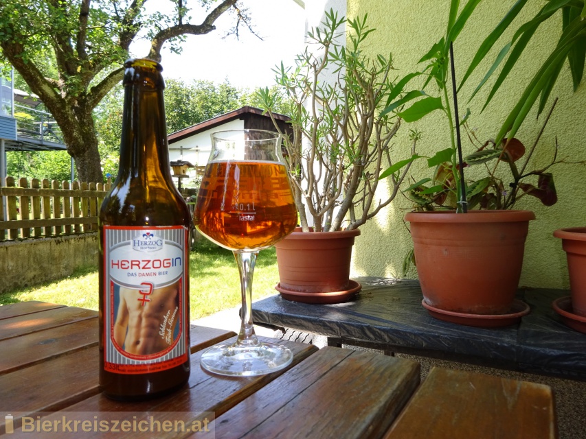 Foto eines Bieres der Marke Herzogin-Damenbier aus der Brauerei Herzog Hofbru