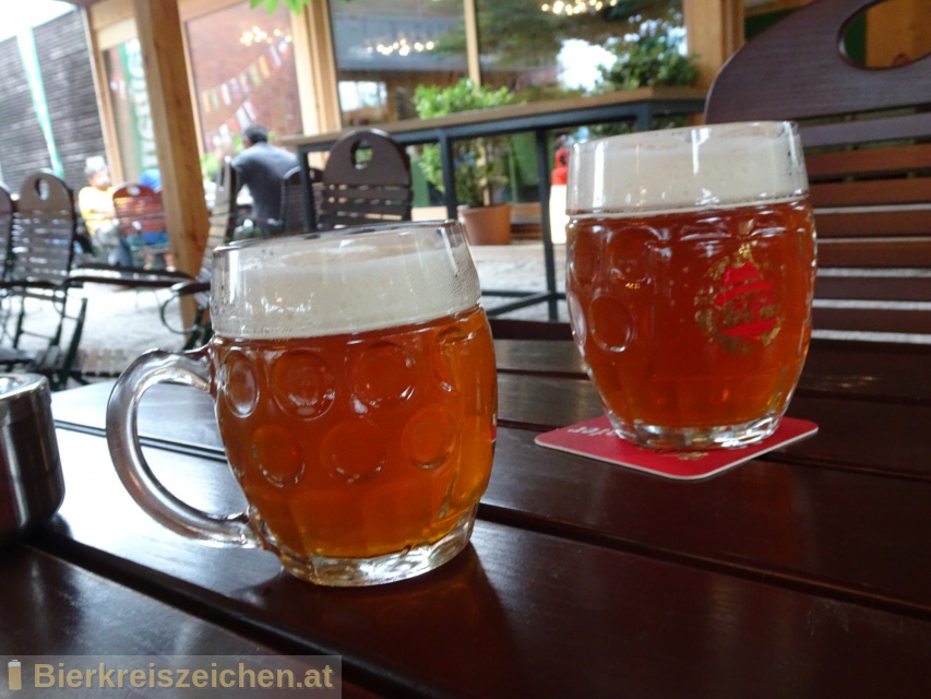 Foto eines Bieres der Marke 1475 Pale Ale aus der Brauerei Hofbräu Kaltenhausen