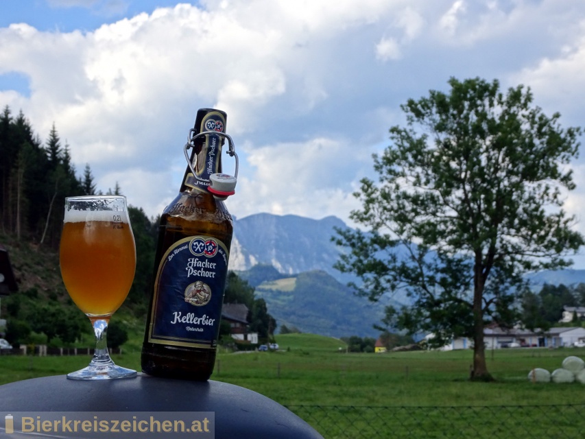 Foto eines Bieres der Marke Hacker Pschorr Mnchner Kellerbier Anno 1417 aus der Brauerei Hacker-Pschorr