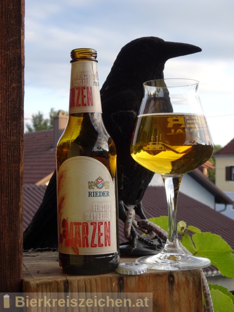 Foto eines Bieres der Marke Rieder Mrzen aus der Brauerei Brauerei Ried