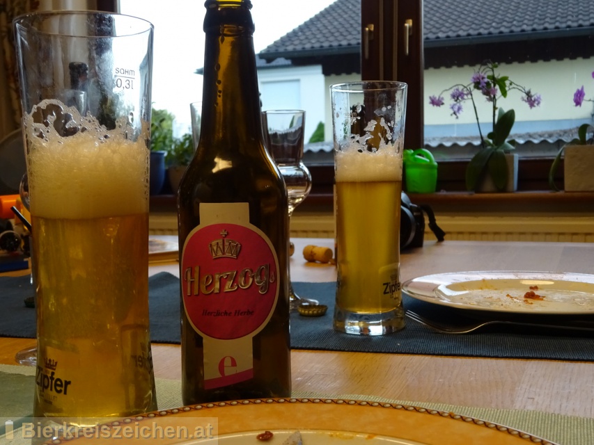 Foto eines Bieres der Marke Herzog - das herzlich Herbe aus der Brauerei Herzog Hofbru