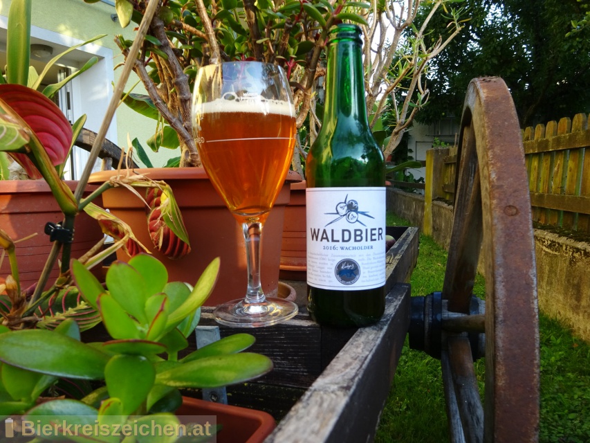 Foto eines Bieres der Marke Kiesbye's Waldbier 2016: Wacholder aus der Brauerei Kiesbye