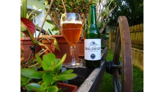 Kiesbye's Waldbier 2016: Wacholder