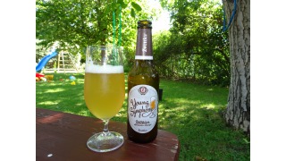 Bild von Zwettler Young Symphony - Witbier