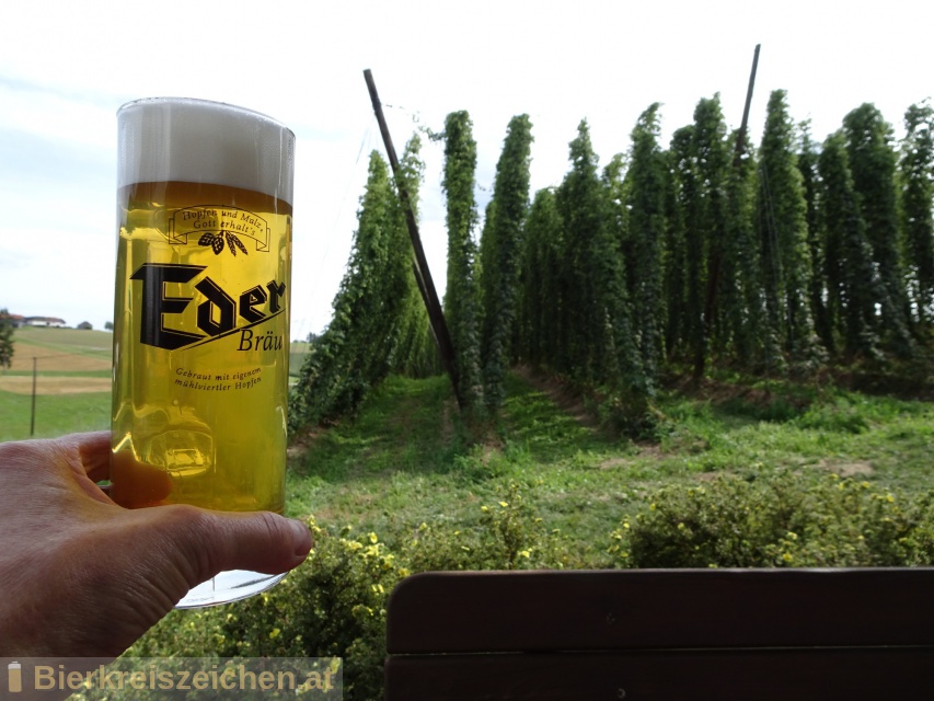 Foto eines Bieres der Marke Eder Bru Golding aus der Brauerei Eder Bru