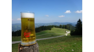 Bild von Stiegl Goldbru