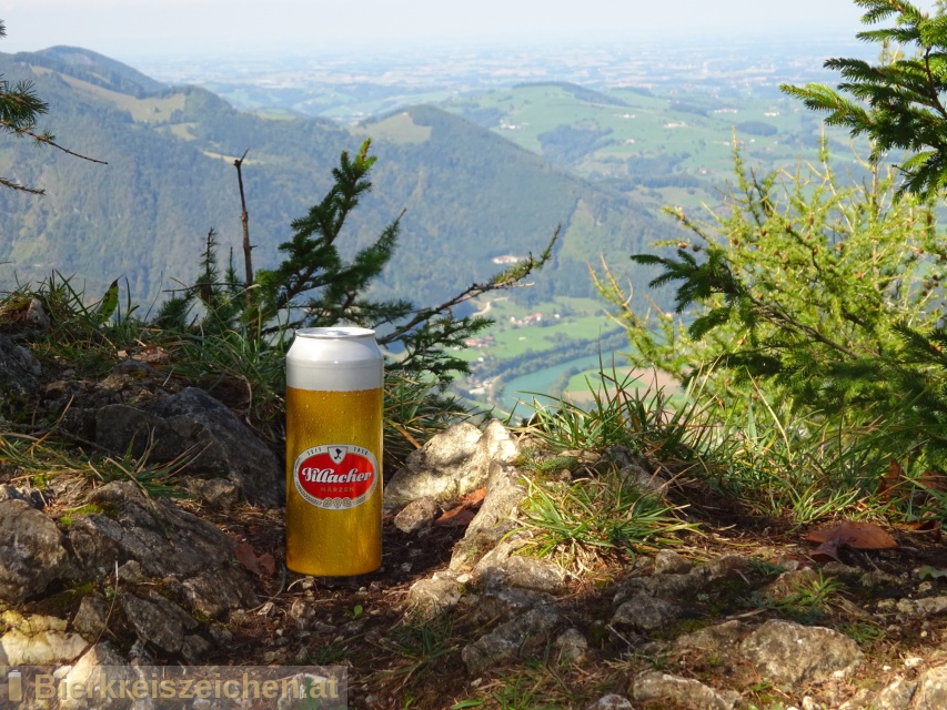 Foto eines Bieres der Marke Villacher Mrzen aus der Brauerei Villacher Brauerei