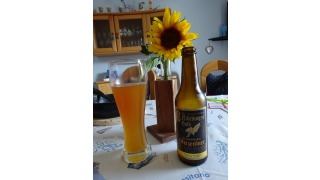 Bild von Weizen-Bier