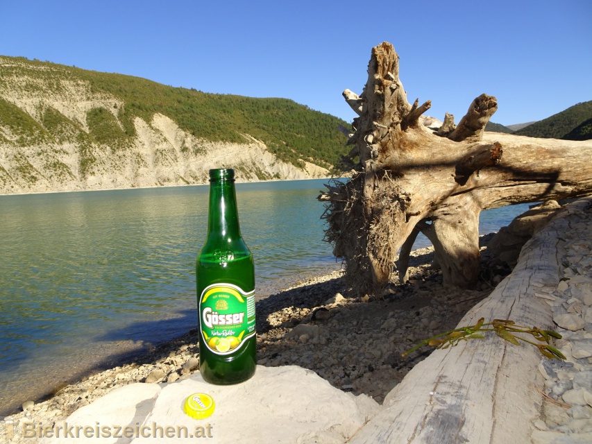 Foto eines Bieres der Marke Gsser NaturRadler aus der Brauerei Brauerei Gss