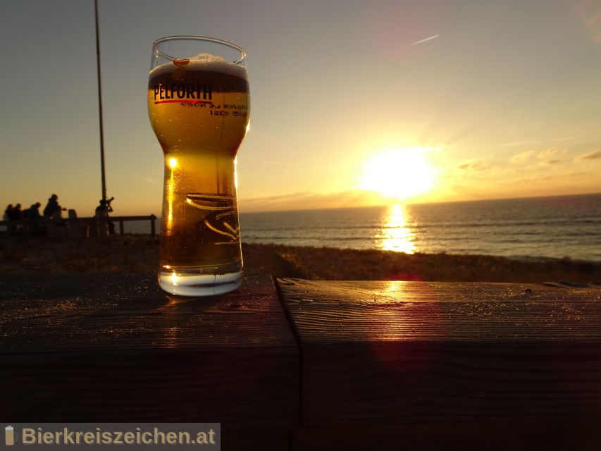 Foto eines Bieres der Marke Pelforth Blonde aus der Brauerei Brasserie Pelforth - Heineken