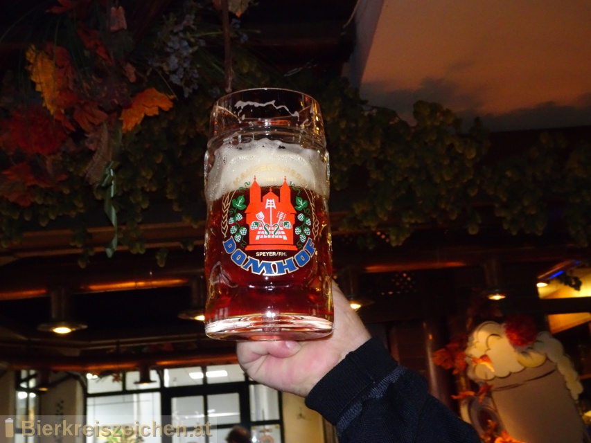 Foto eines Bieres der Marke Domhof Helles aus der Brauerei Hausbrauerei Domhof Speyer/RH.