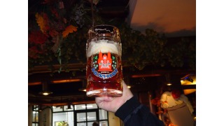 Bild von Domhof Helles