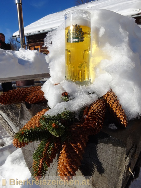 Foto eines Bieres der Marke Gsser Mrzen aus der Brauerei Brauerei Gss